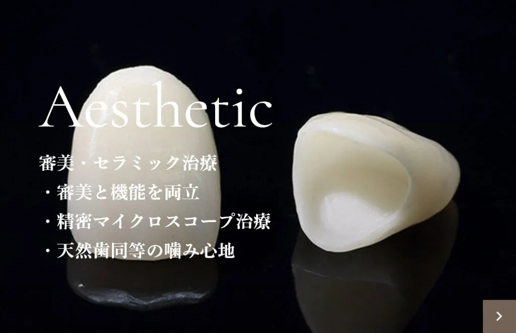Aesthetic 審美・セラミック治療・審美と機能を両立・精密マイクロスコープ治療・天然歯同等の噛み心地｜大分の歯医者・矯正歯科「リッツ歯科・矯正歯科大分駅前」